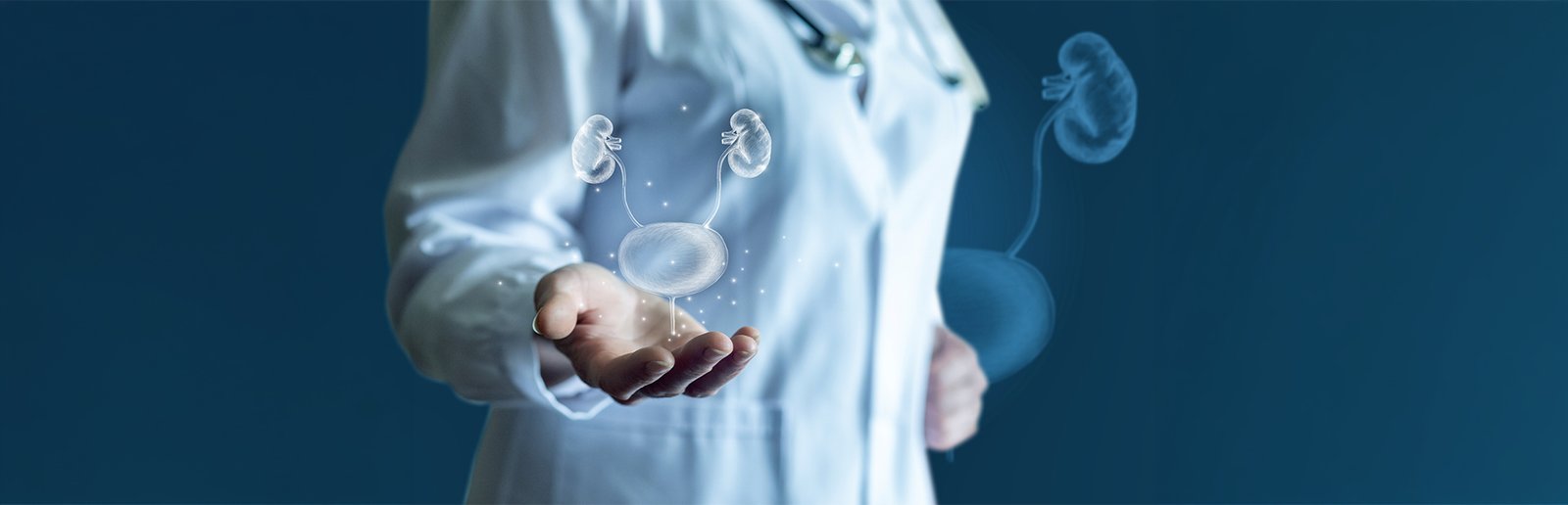 Nephrology and Dialysis Services
