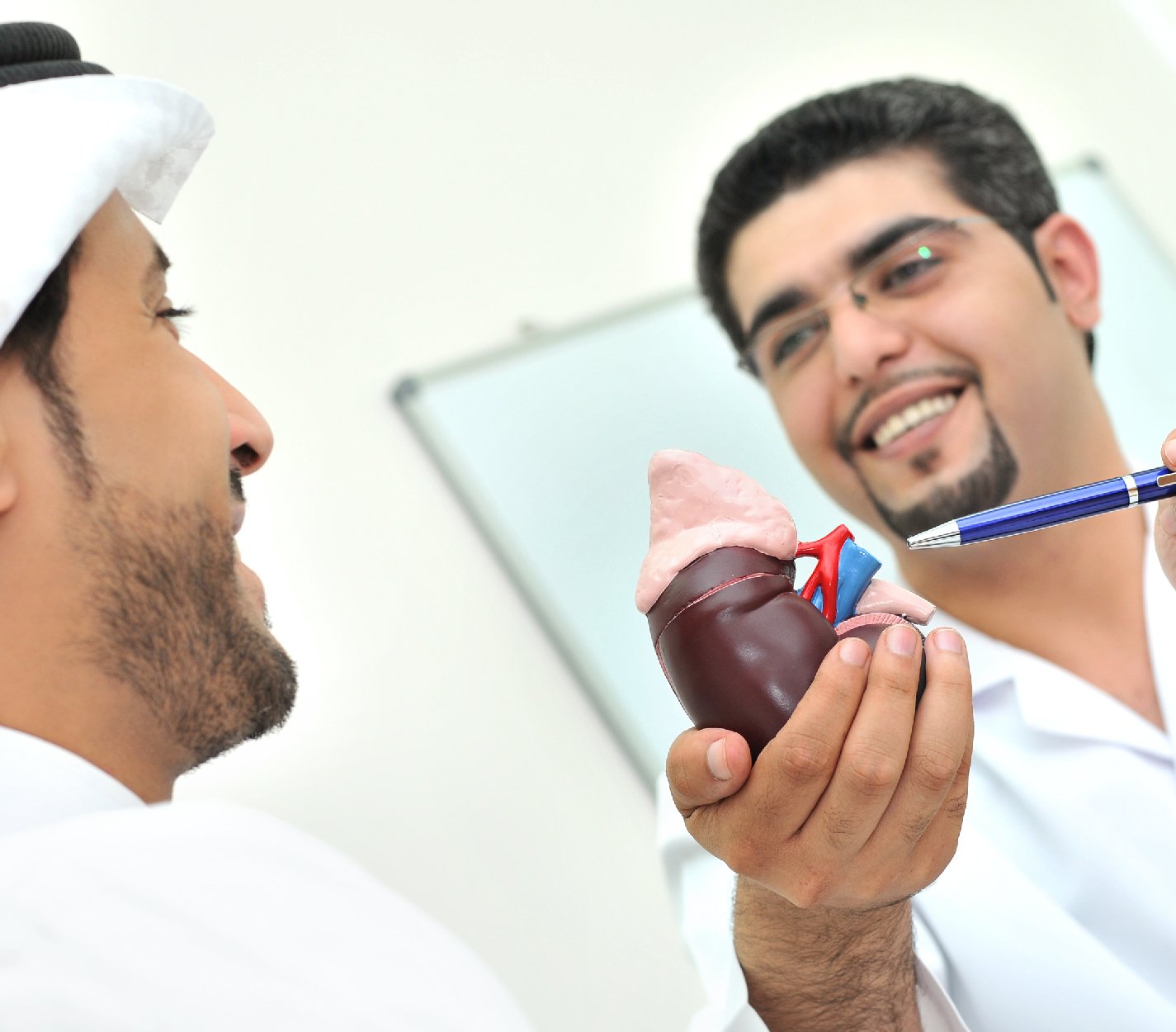 Nephrology