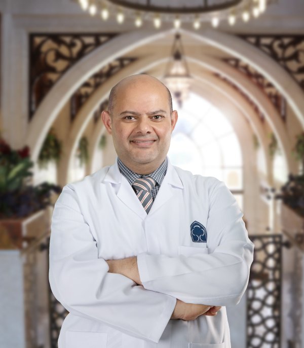             Amir F. Amer
          