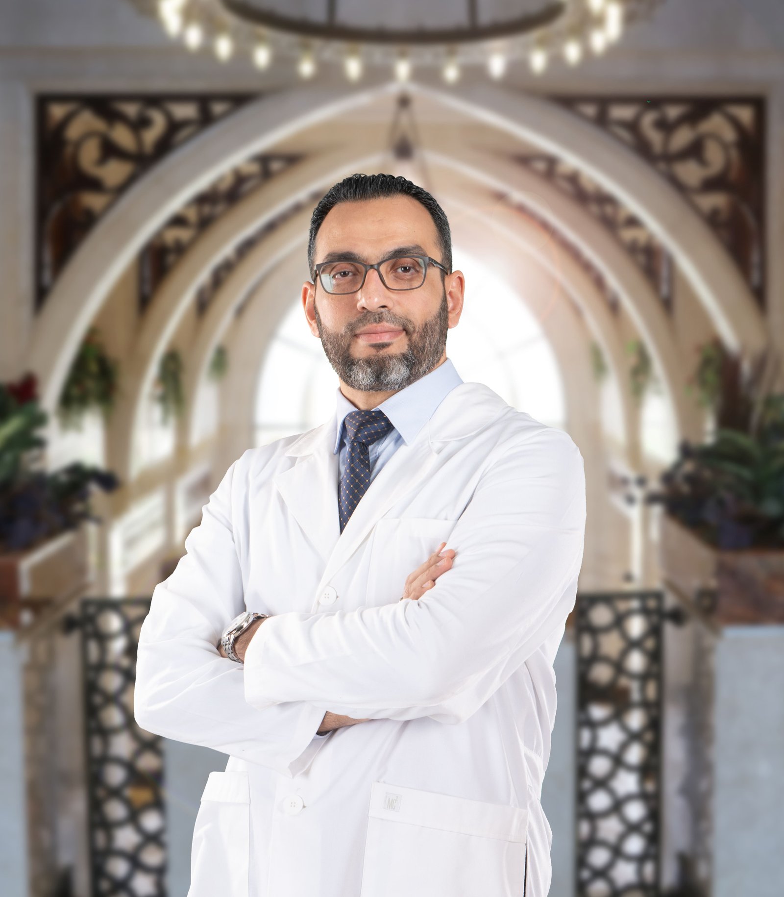             Amr Mustafa A. Mohamed
          